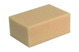 Plattenlegerschwamm gelb