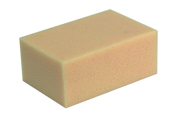 Plattenlegerschwamm gelb