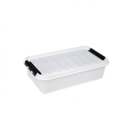 Ebnat Tragbox transparent, mit Deckel