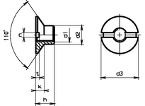 Senk-Muttern mit Schlitz,110 Grad